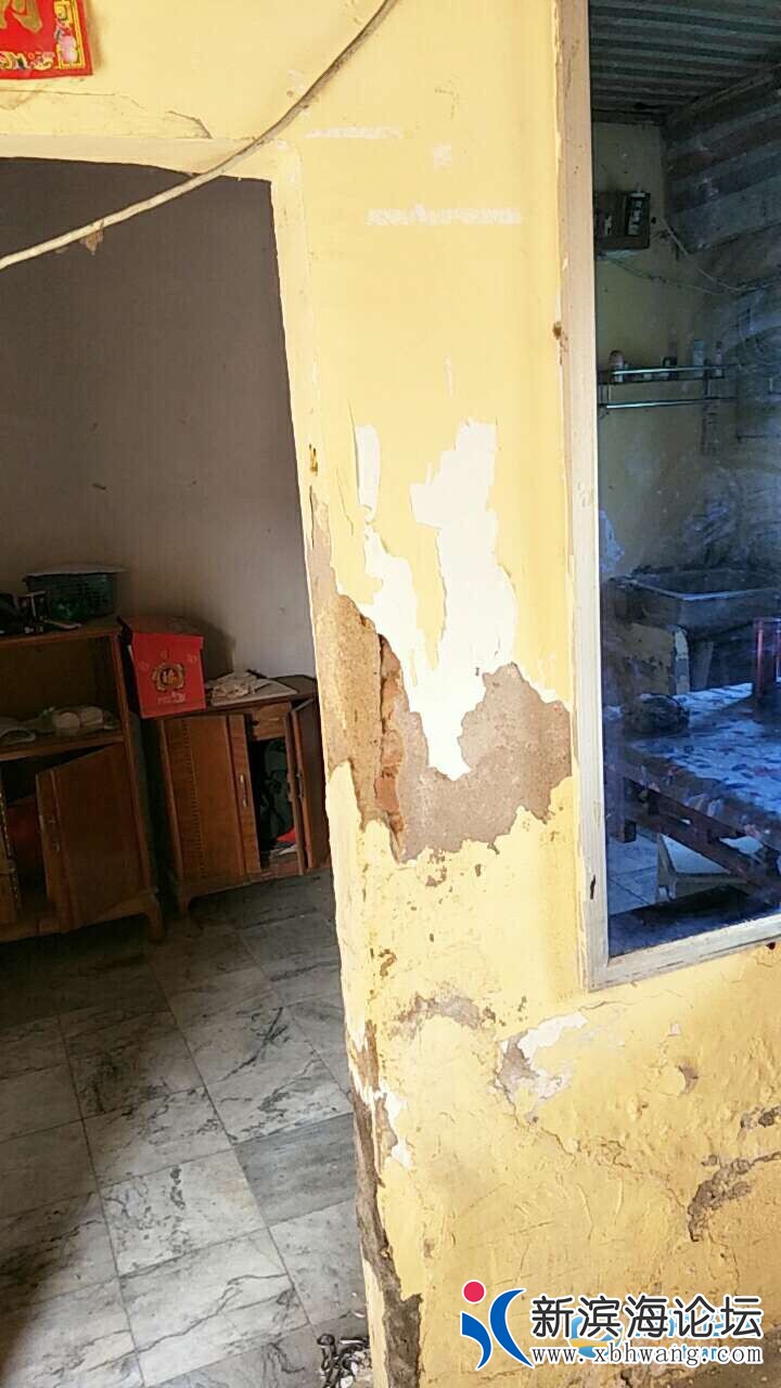 20190417652021555507719376463.jpg