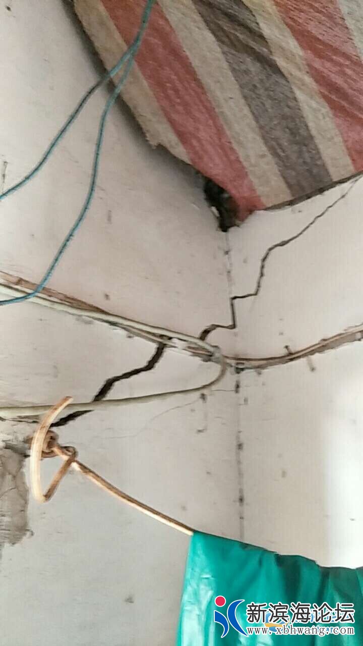 20190417652021555507719357273.jpg