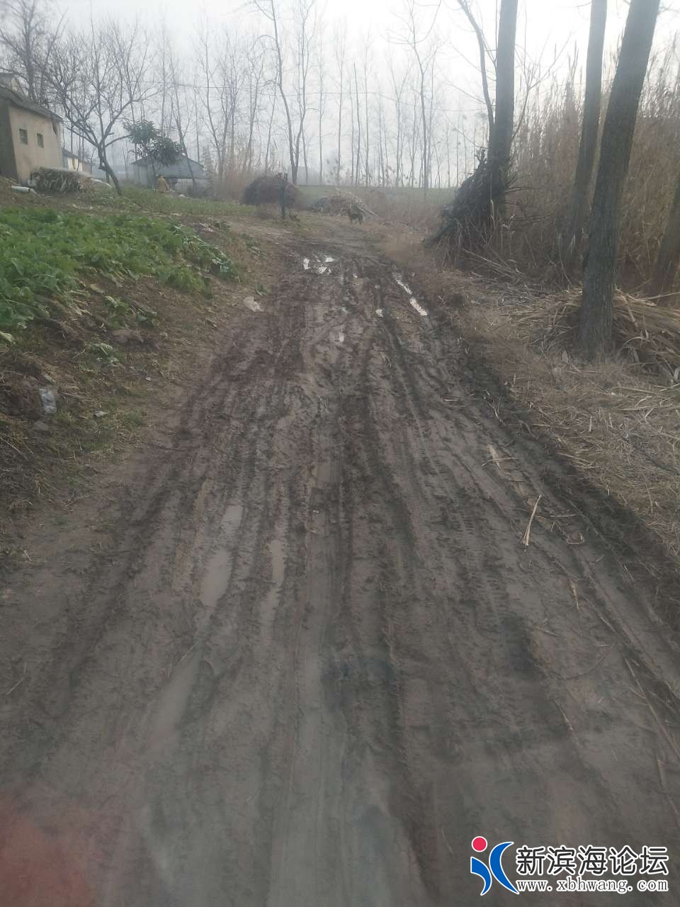 20190417_56337_1555516183334.jpg