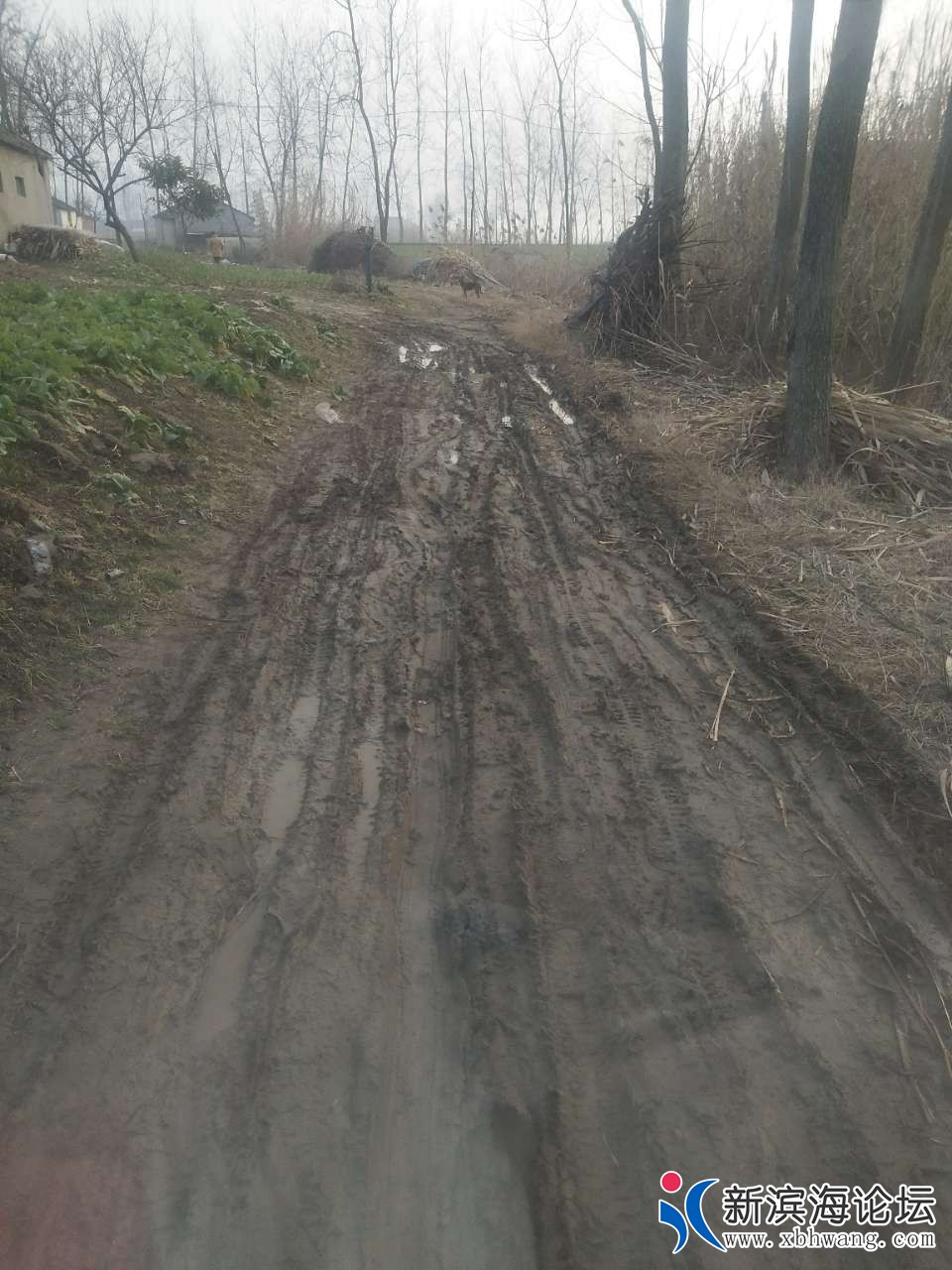 20190417_56337_1555516182789.jpg