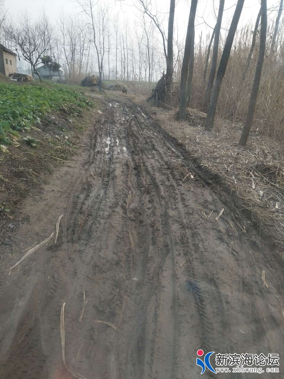 20190417_56337_1555516184424.jpg