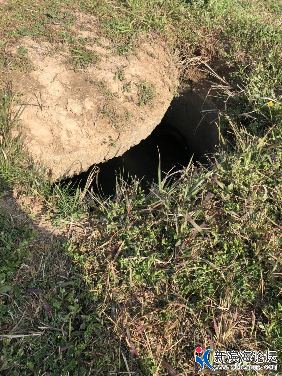 20190418651501555566406752239.jpg