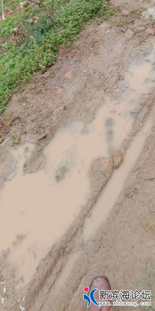 20190419_61960_1555629598478.jpg