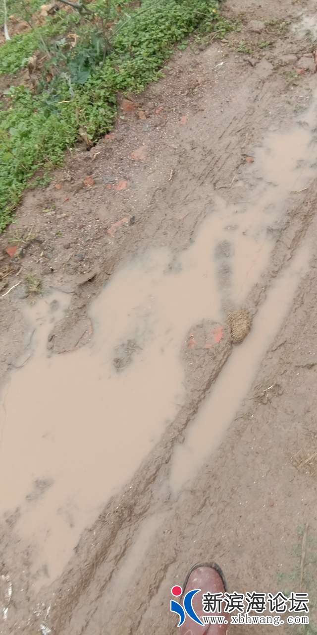 20190419_61960_1555629598394.jpg