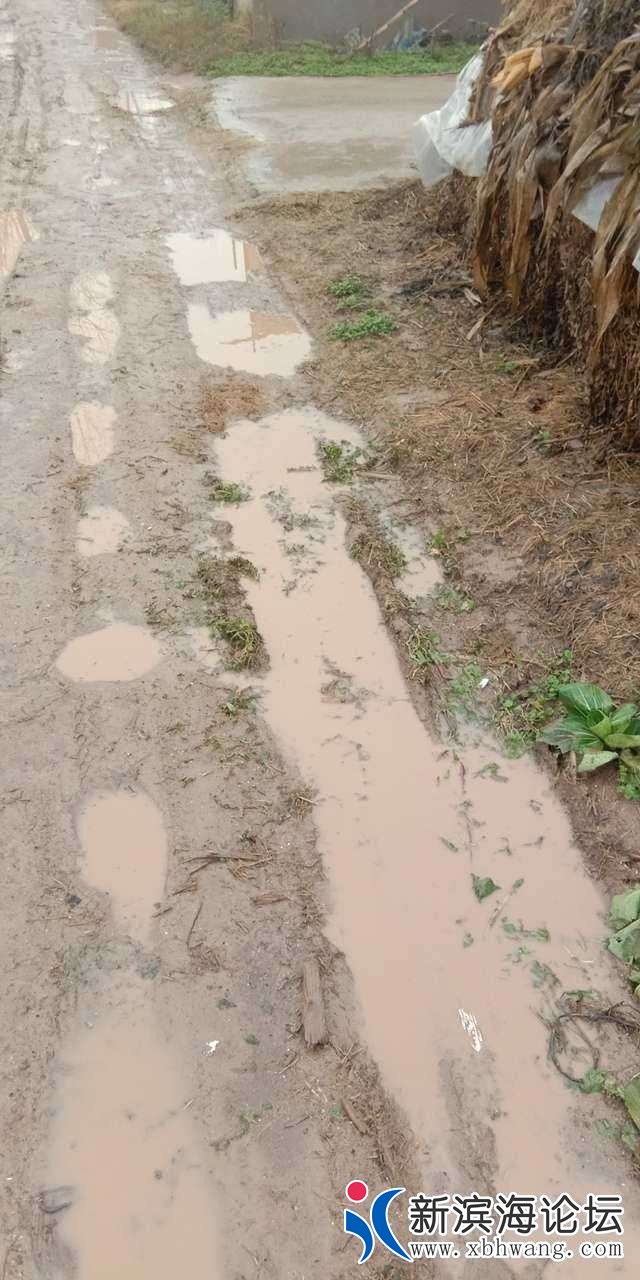 20190419_61960_1555629598639.jpg
