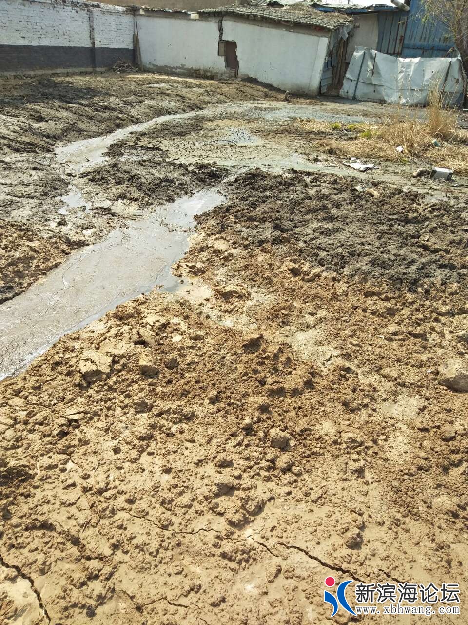 20190420_64839_1555767074891.jpg
