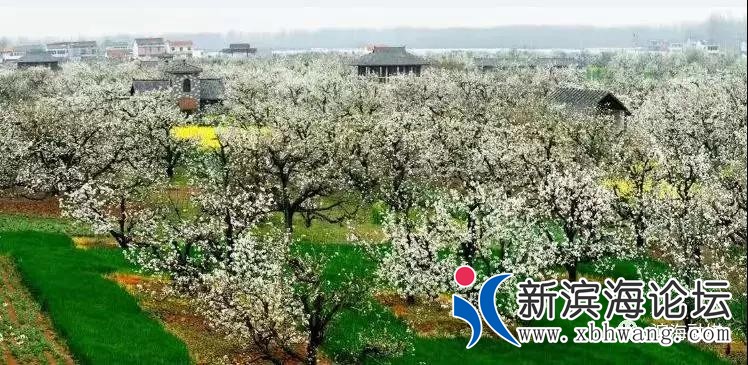 微信图片_20190423090924.jpg