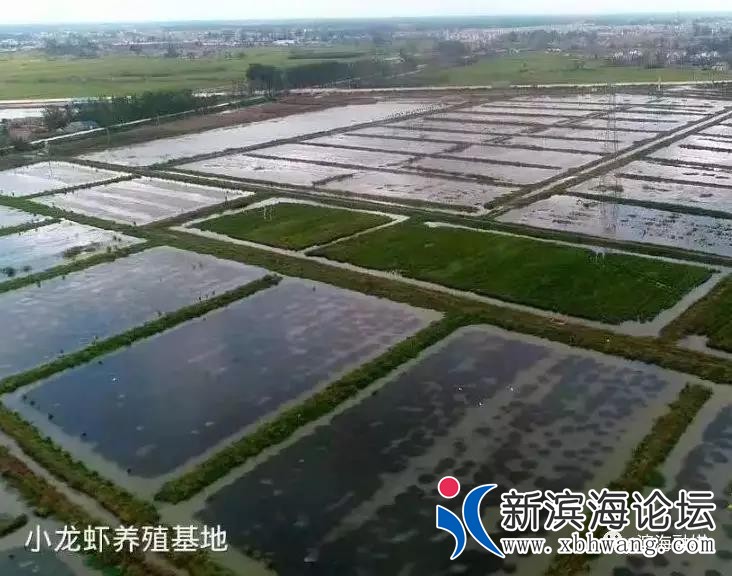 微信图片_20190423090932.jpg