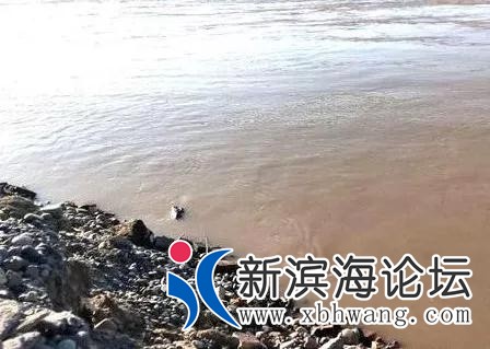 微信图片_20190430091856.jpg