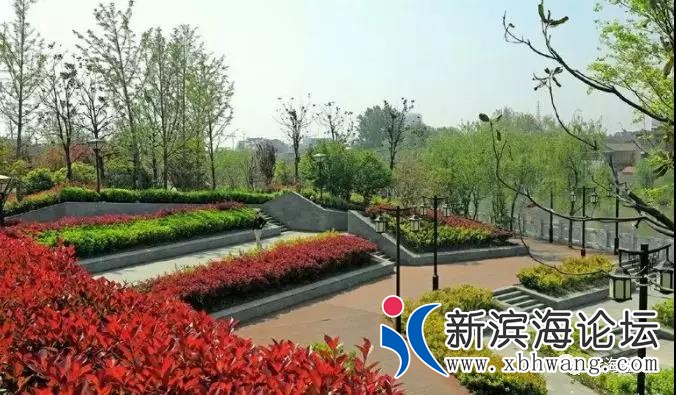 微信图片_20190503121318.jpg
