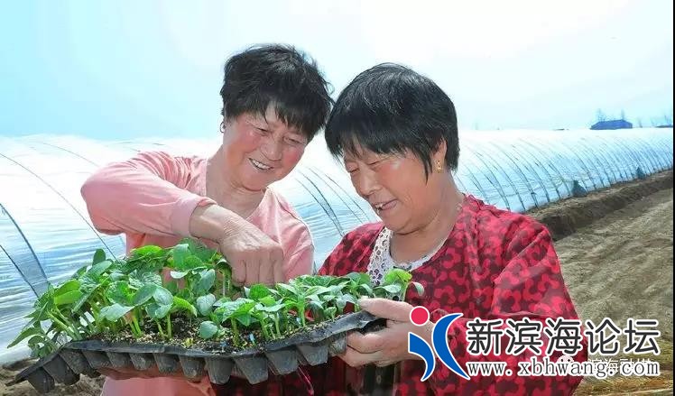 微信图片_20190504091543.jpg
