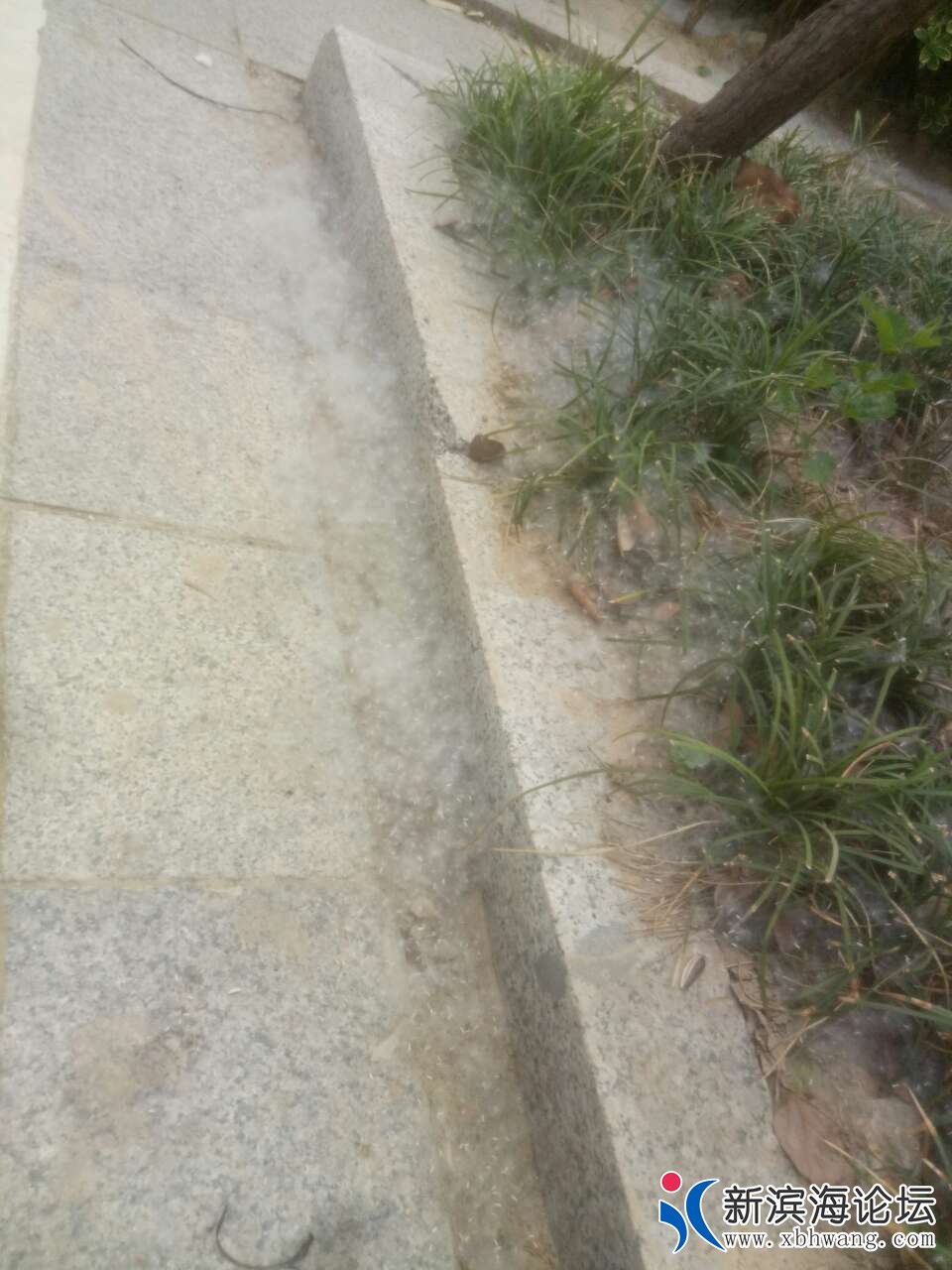 20190512_50921_1557648546061.jpg