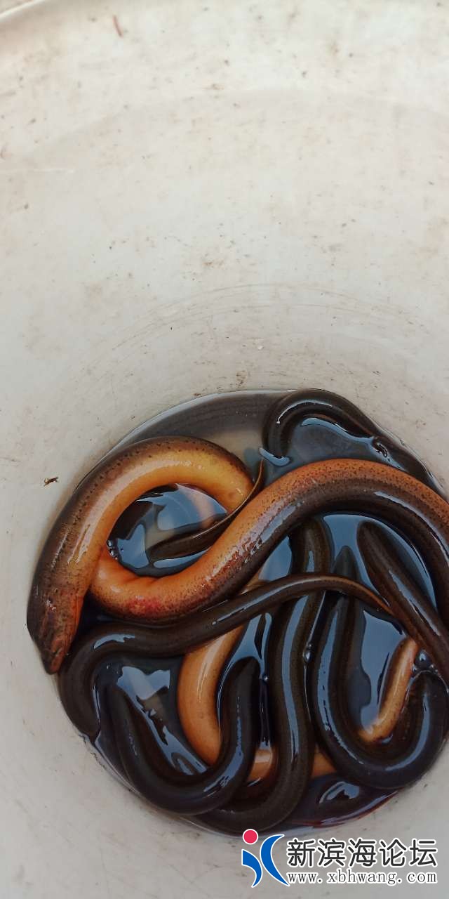 20190513_47904_1557706884378.jpg