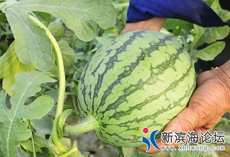 微信图片_20190516091911.jpg