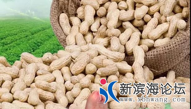 微信图片_20190516091924.jpg