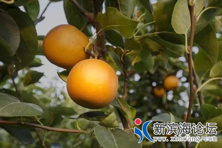 微信图片_20190516091933.jpg