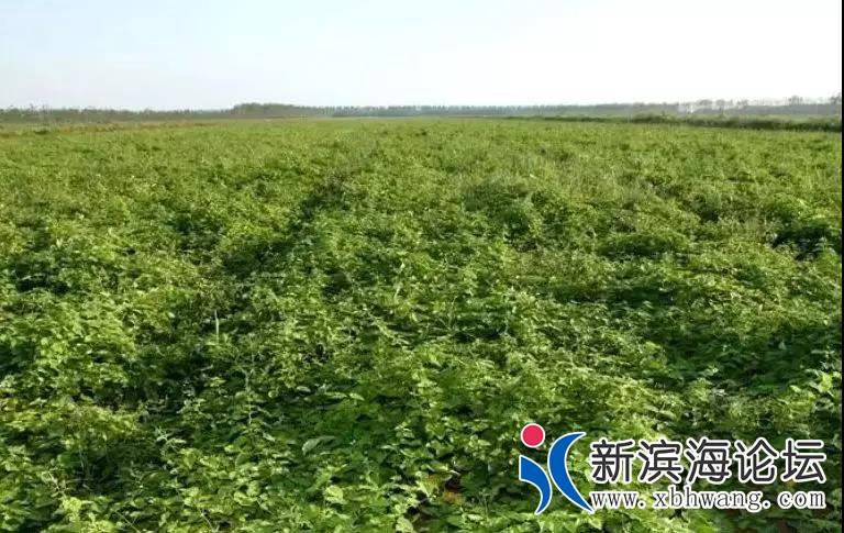 微信图片_20190516091922.jpg
