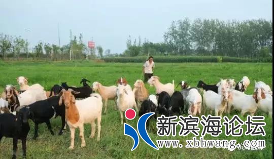 微信图片_20190517084931.jpg