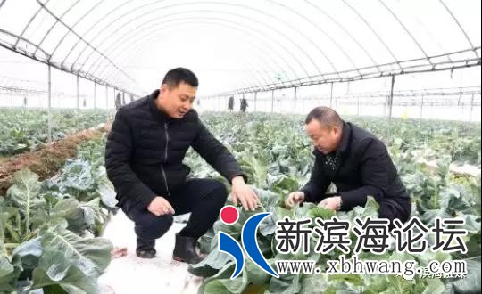 微信图片_20190517084934.jpg