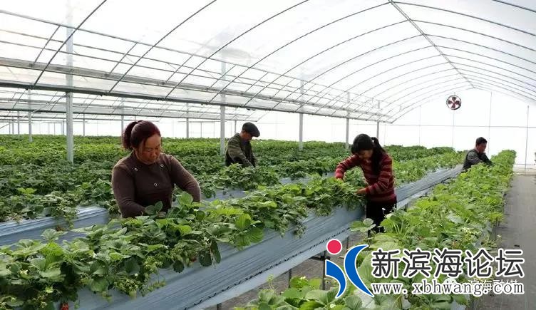 微信图片_20190517084938.jpg