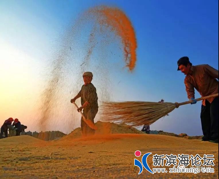 微信图片_20190601090728.jpg