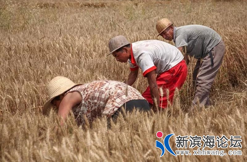 微信图片_20190614100024.jpg