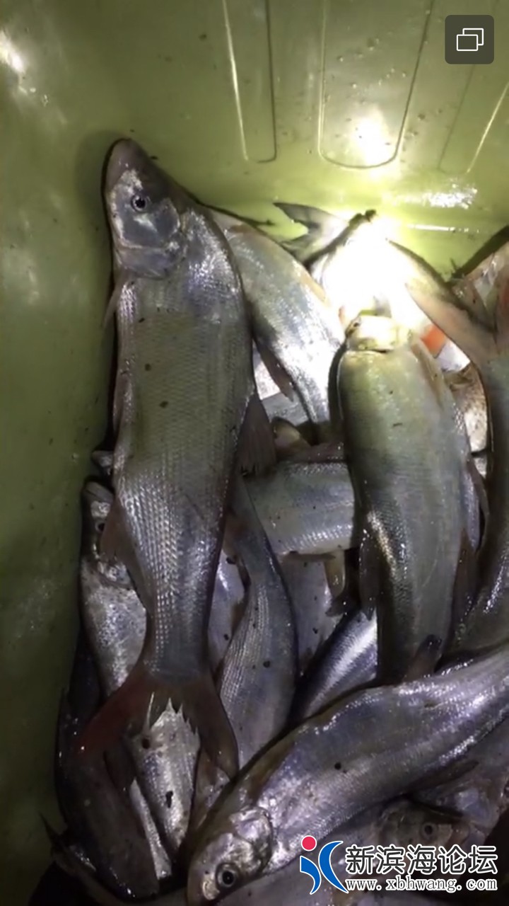 20190619939011560958102134607.jpg
