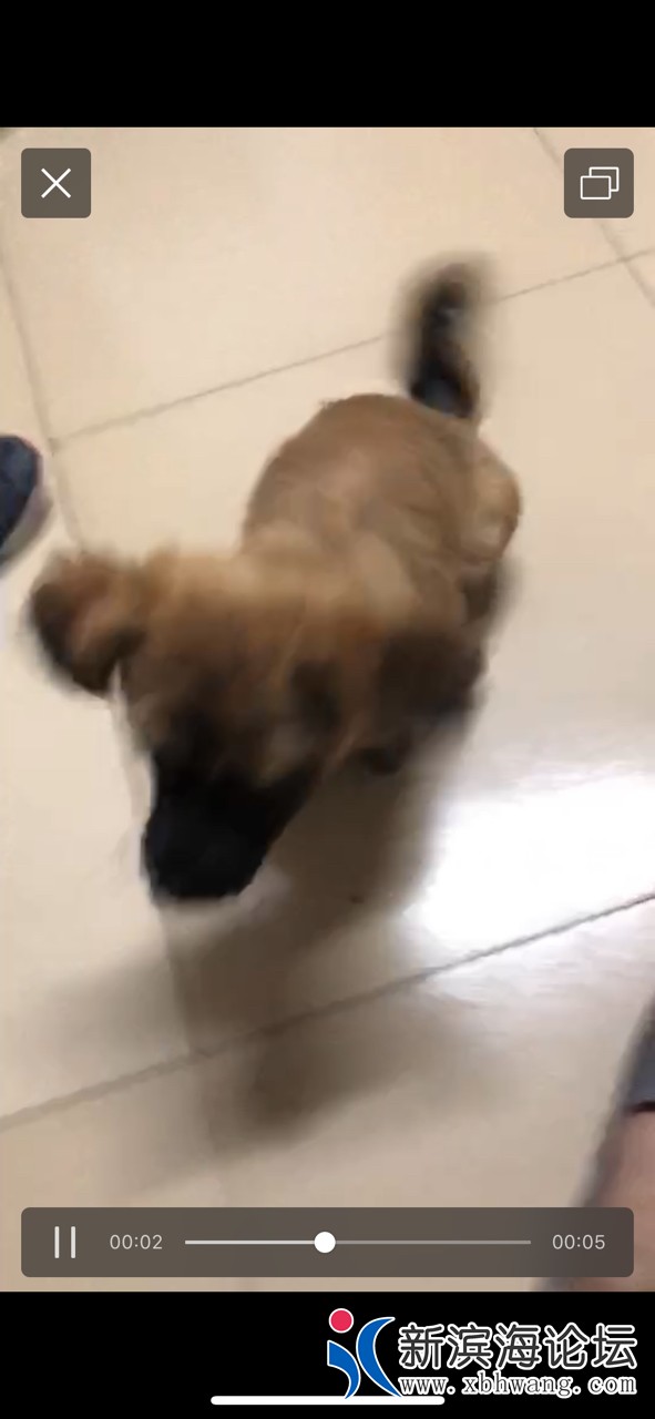 20190705914151562310073161462.jpg