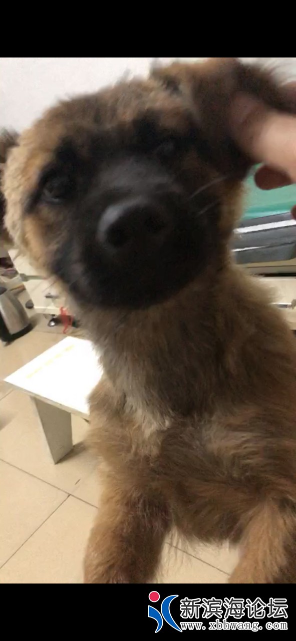 20190705914151562310073509394.jpg