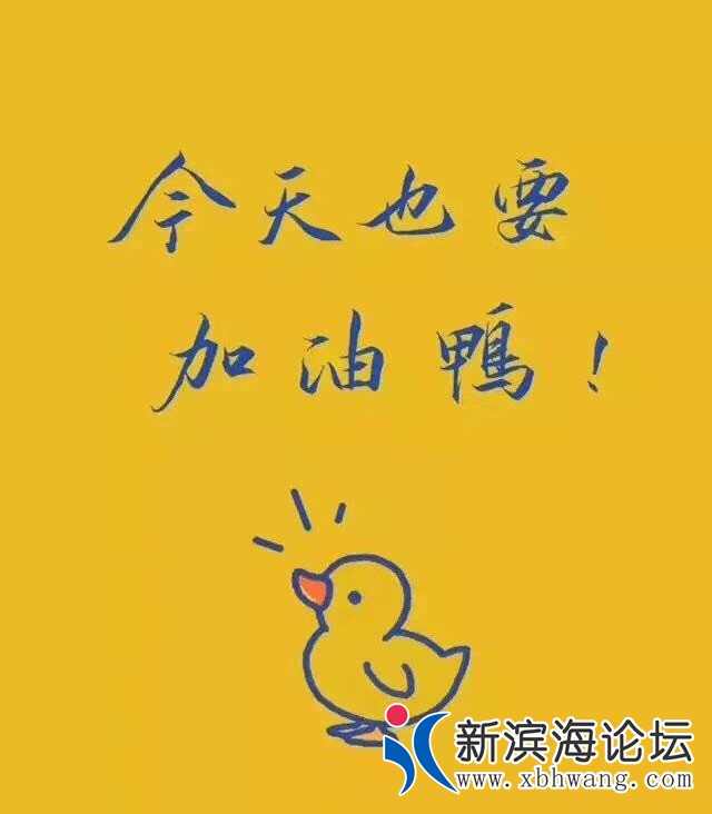 20190705714591562335999779018.jpg