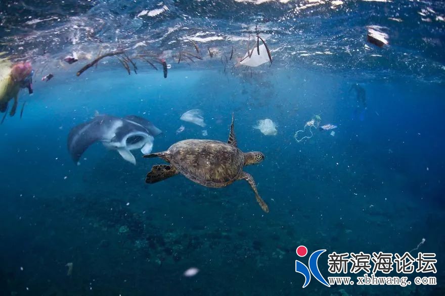 微信图片_20190708085921.jpg