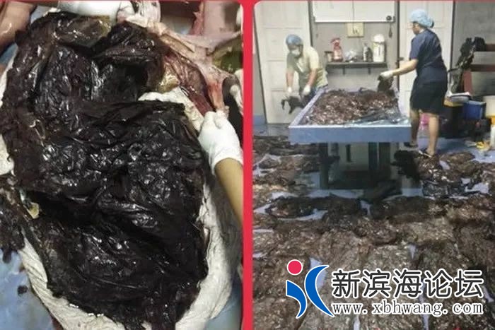 微信图片_20190708085923.jpg