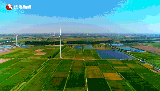 微信图片_20190710084219.gif