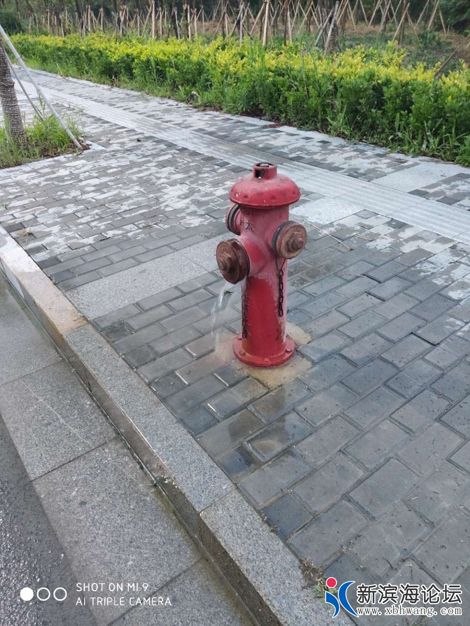 20190713_45917_1563017566884.jpg