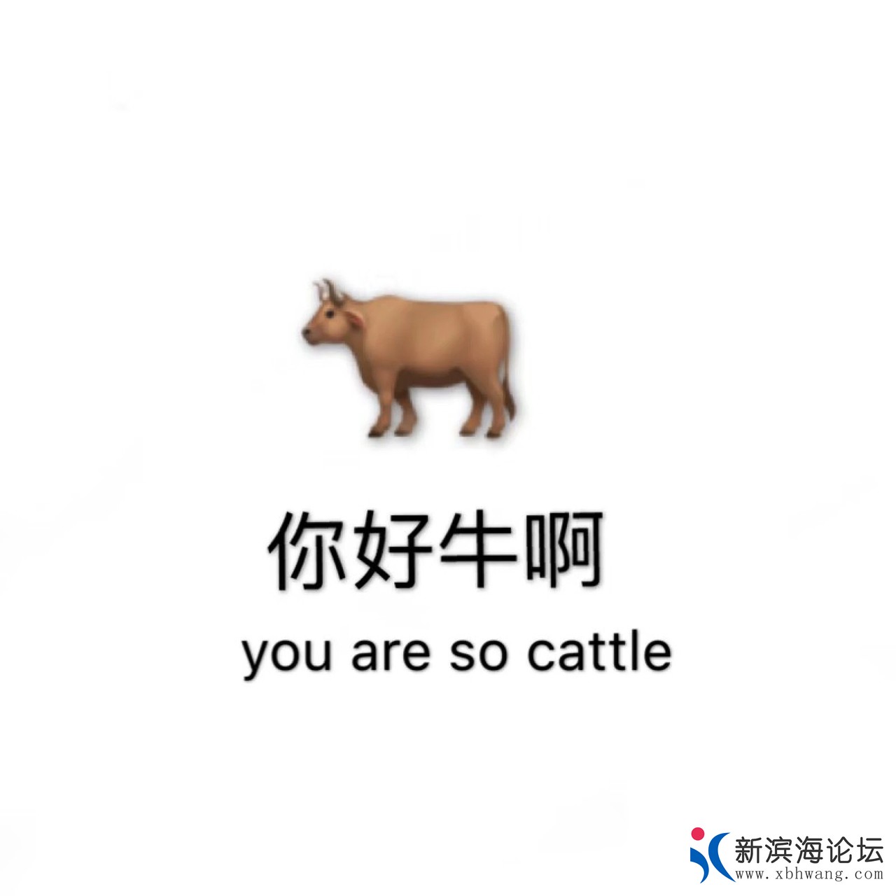 20190714943021563088355283754.jpg