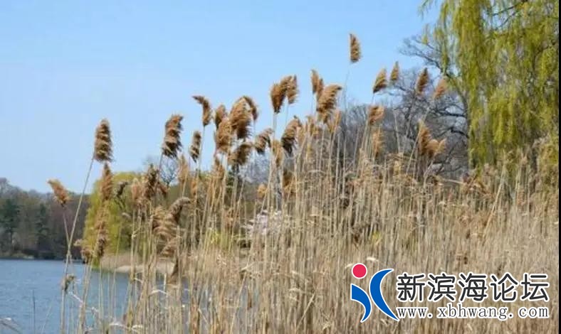 微信图片_20190717170201.jpg