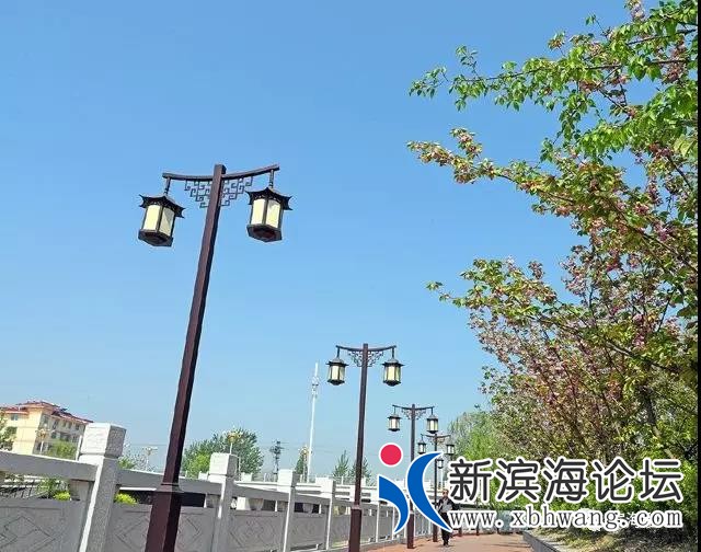 微信图片_20190721084329.jpg