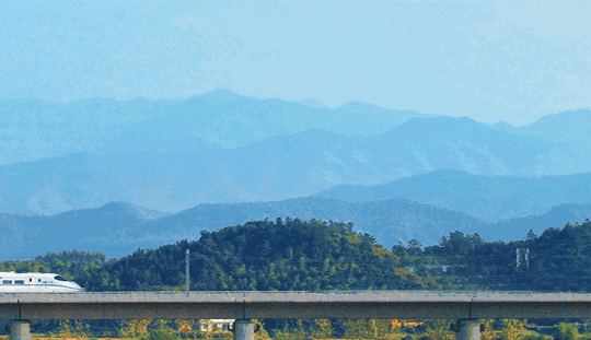 微信图片_20190805092828.gif
