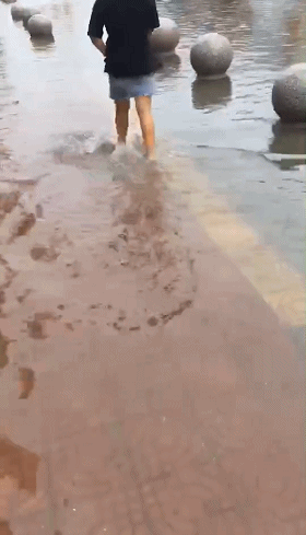 4_20190811104718.gif