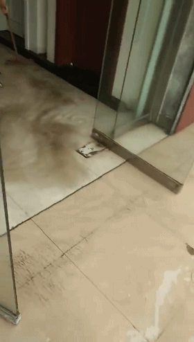 6_20190811104806.gif