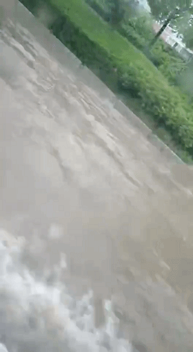 8_20190811104824.gif