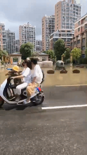 10_20190811111029.gif