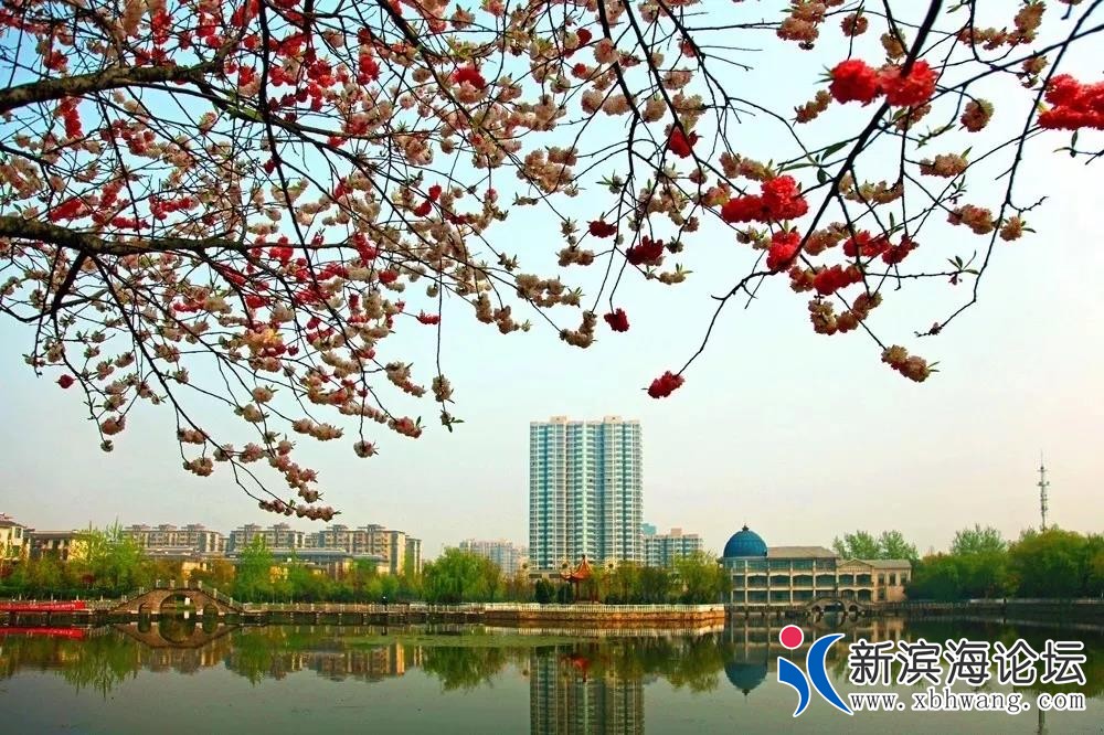 微信图片_20190813090812.jpg