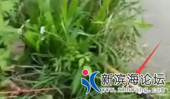 微信图片_20190813091121.jpg