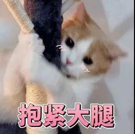微信图片_20190813094905.jpg