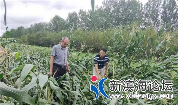 微信图片_20190813103506.jpg