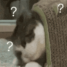微信图片_20190819100013.gif