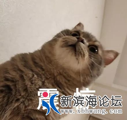 微信图片_20190821083912.jpg