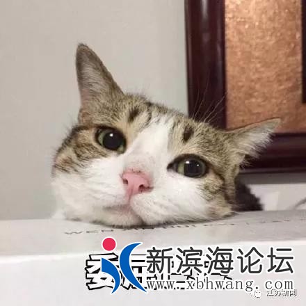 微信图片_20190822095630.jpg