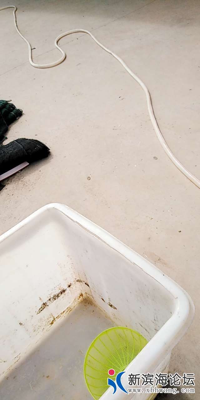 20190824_95640_1566629949689.jpg